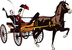 horse and buggy.jpg